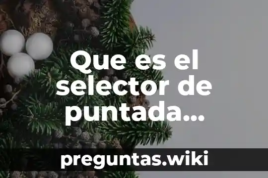 Que es el selector de puntada concepto