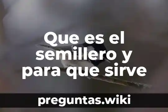 Que es el semillero y para que sirve