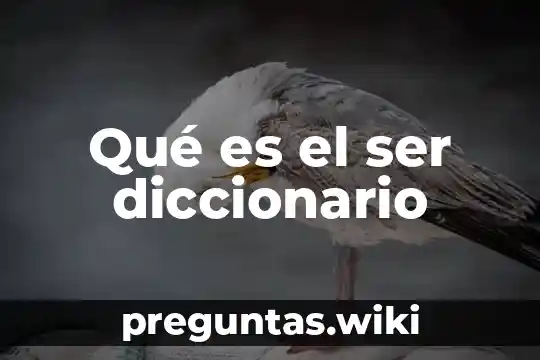 Qué es el ser diccionario