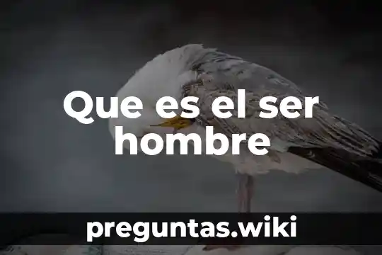 Que es el ser hombre