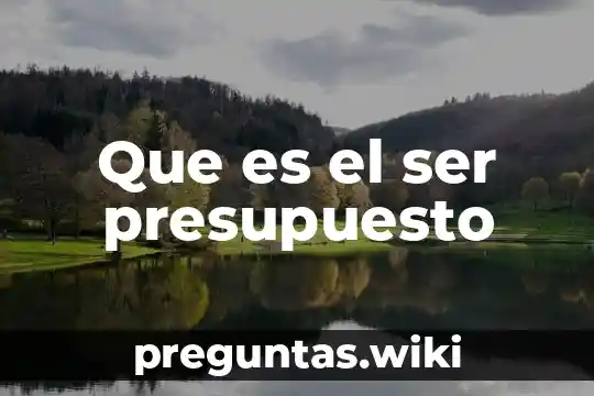 Que es el ser presupuesto