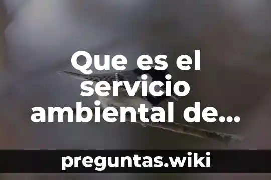 Que es el servicio ambiental de soporte
