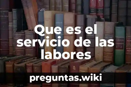 Que es el servicio de las labores