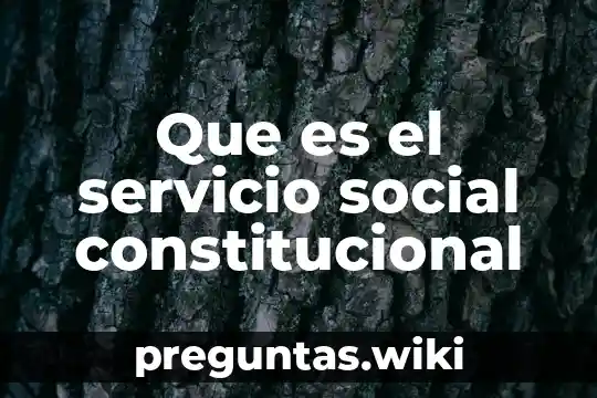 Que es el servicio social constitucional