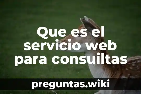 Que es el servicio web para consuiltas