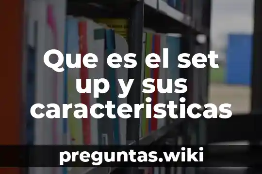 Que es el set up y sus caracteristicas