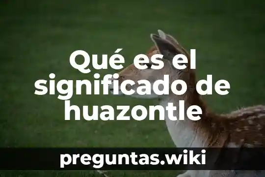 Qué es el significado de huazontle