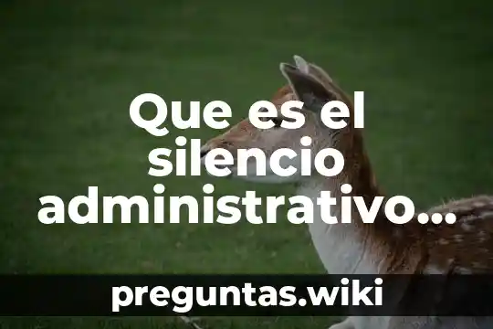 Que es el silencio administrativo tesis