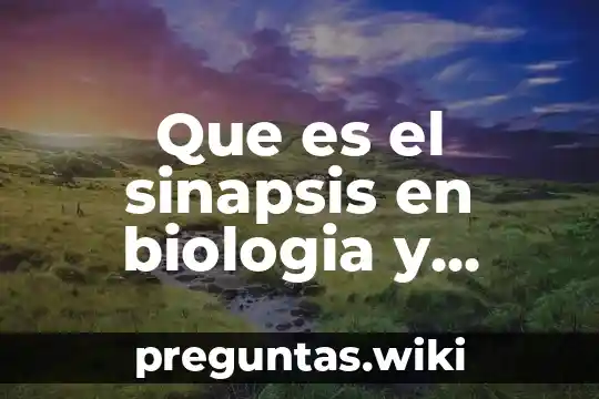 Que es el sinapsis en biologia y drogas