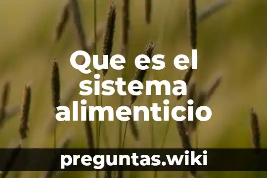 Que es el sistema alimenticio