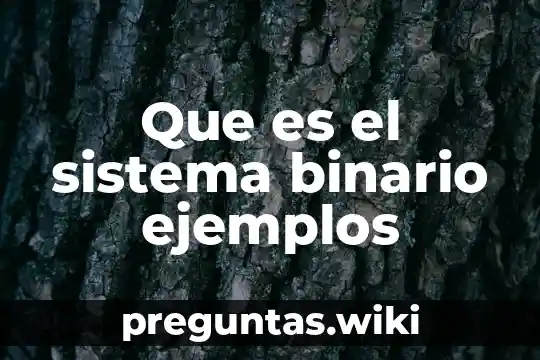 Que es el sistema binario ejemplos