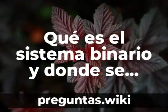 Qué es el sistema binario y donde se utiliza