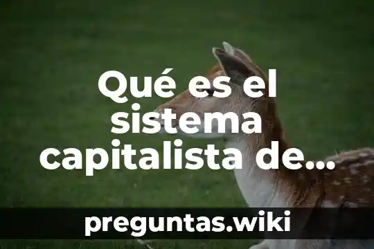 Qué es el sistema capitalista de producción