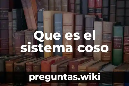 Que es el sistema coso