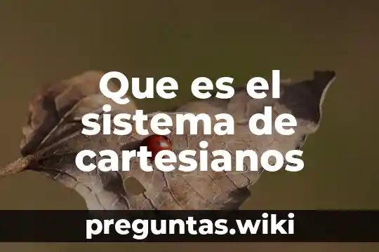 Que es el sistema de cartesianos