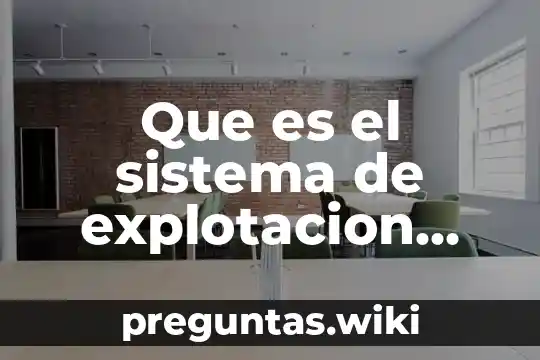 Que es el sistema de explotacion mixta
