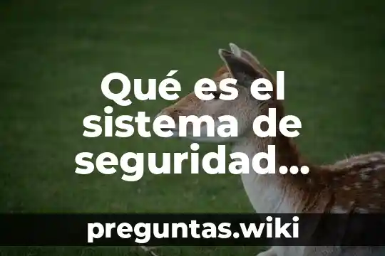 Qué es el sistema de seguridad social dominicano