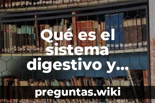 Qué es el sistema digestivo y cómo funciona