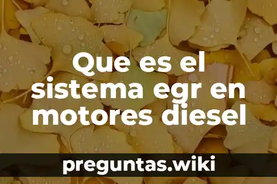 Que es el sistema egr en motores diesel