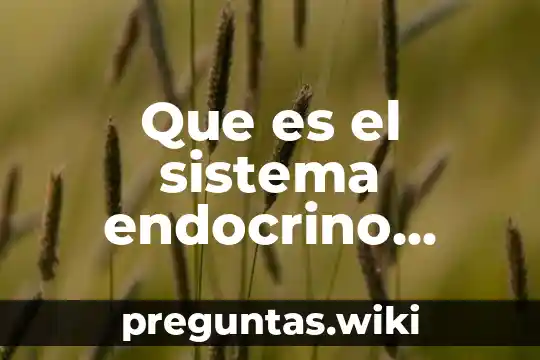 Que es el sistema endocrino prezi