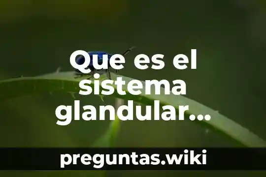 Que es el sistema glandular animal