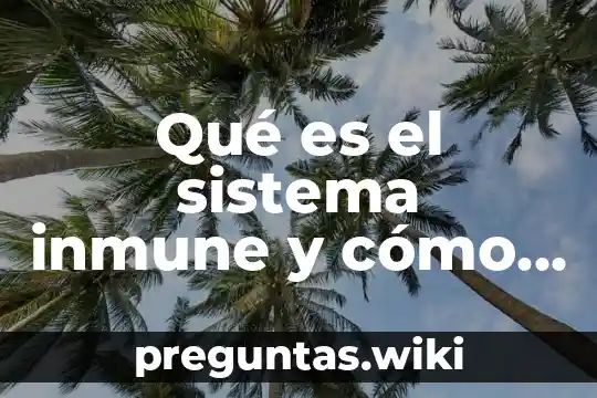Qué es el sistema inmune y cómo funciona