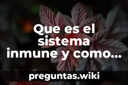 Que es el sistema inmune y como se clasifica