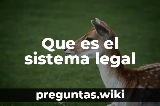 Que es el sistema legal