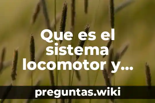 Que es el sistema locomotor y sus partes