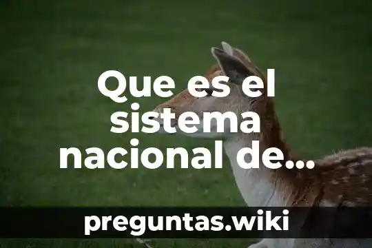 Que es el sistema nacional de información básica