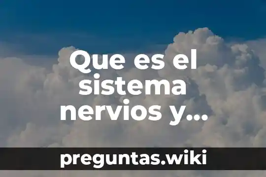 Que es el sistema nervios y cuales son sus nombres