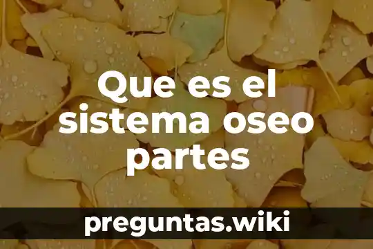 Que es el sistema oseo partes