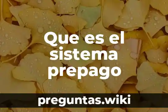 Que es el sistema prepago