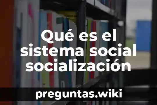 Qué es el sistema social socialización