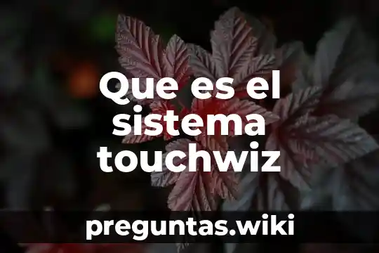 Que es el sistema touchwiz