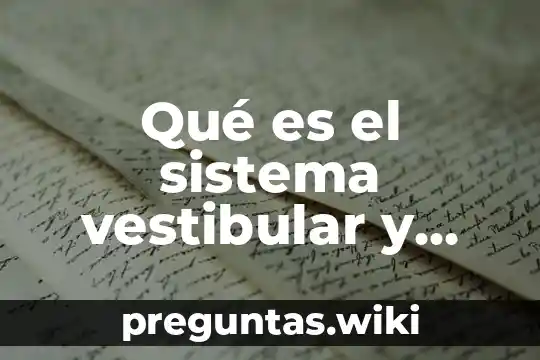 Qué es el sistema vestibular y propioceptivo