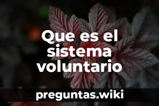 Que es el sistema voluntario