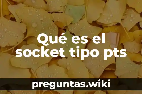 Qué es el socket tipo pts