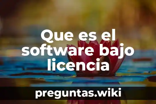 Que es el software bajo licencia