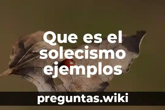 Que es el solecismo ejemplos