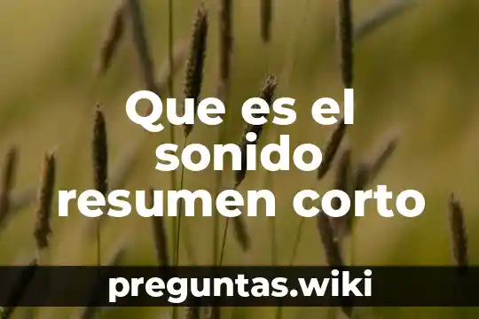 Que es el sonido resumen corto