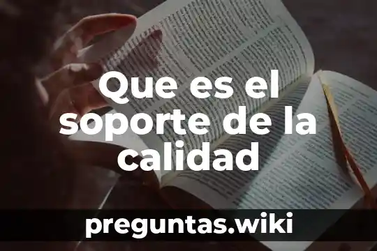 Que es el soporte de la calidad