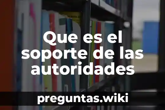 Que es el soporte de las autoridades