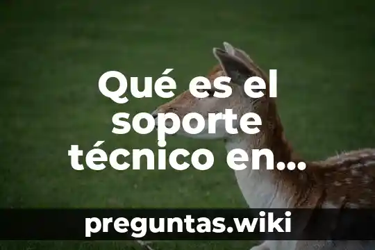 Qué es el soporte técnico en software