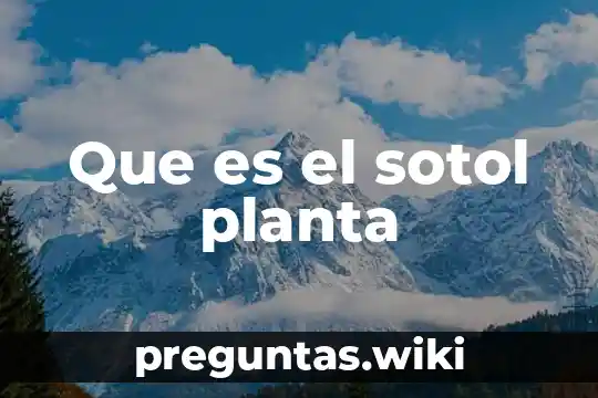 Que es el sotol planta