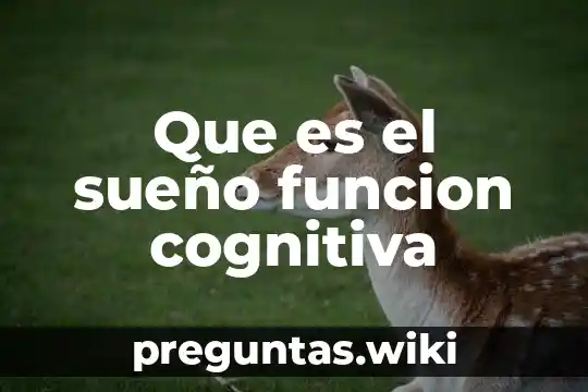 Que es el sueño funcion cognitiva