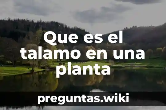 Que es el talamo en una planta