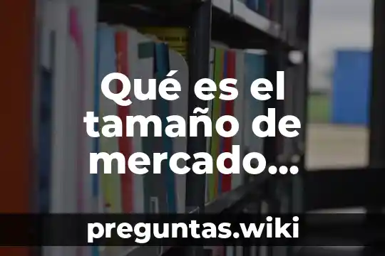Qué es el tamaño de mercado ejemplo