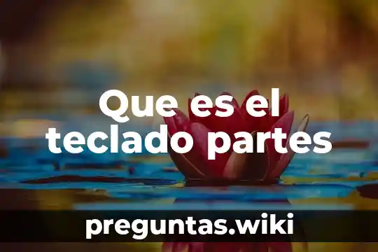 Que es el teclado partes