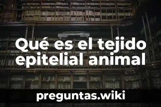 Qué es el tejido epitelial animal